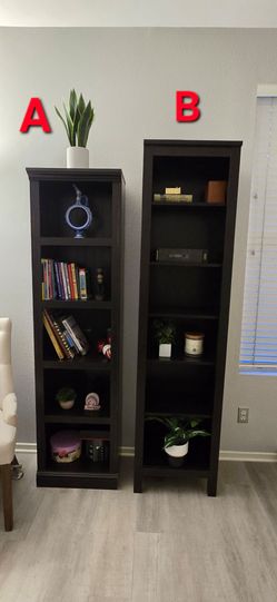 Set of Tall Bookshelves