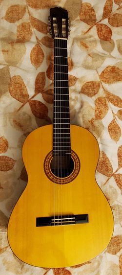 Takamine G Series Classical Guitar G124