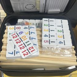 Domino Game with case