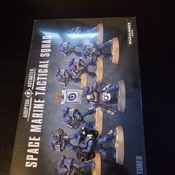 WarHammer 40k Space Marine Miniatures 