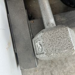 15 Pound Dumbbell