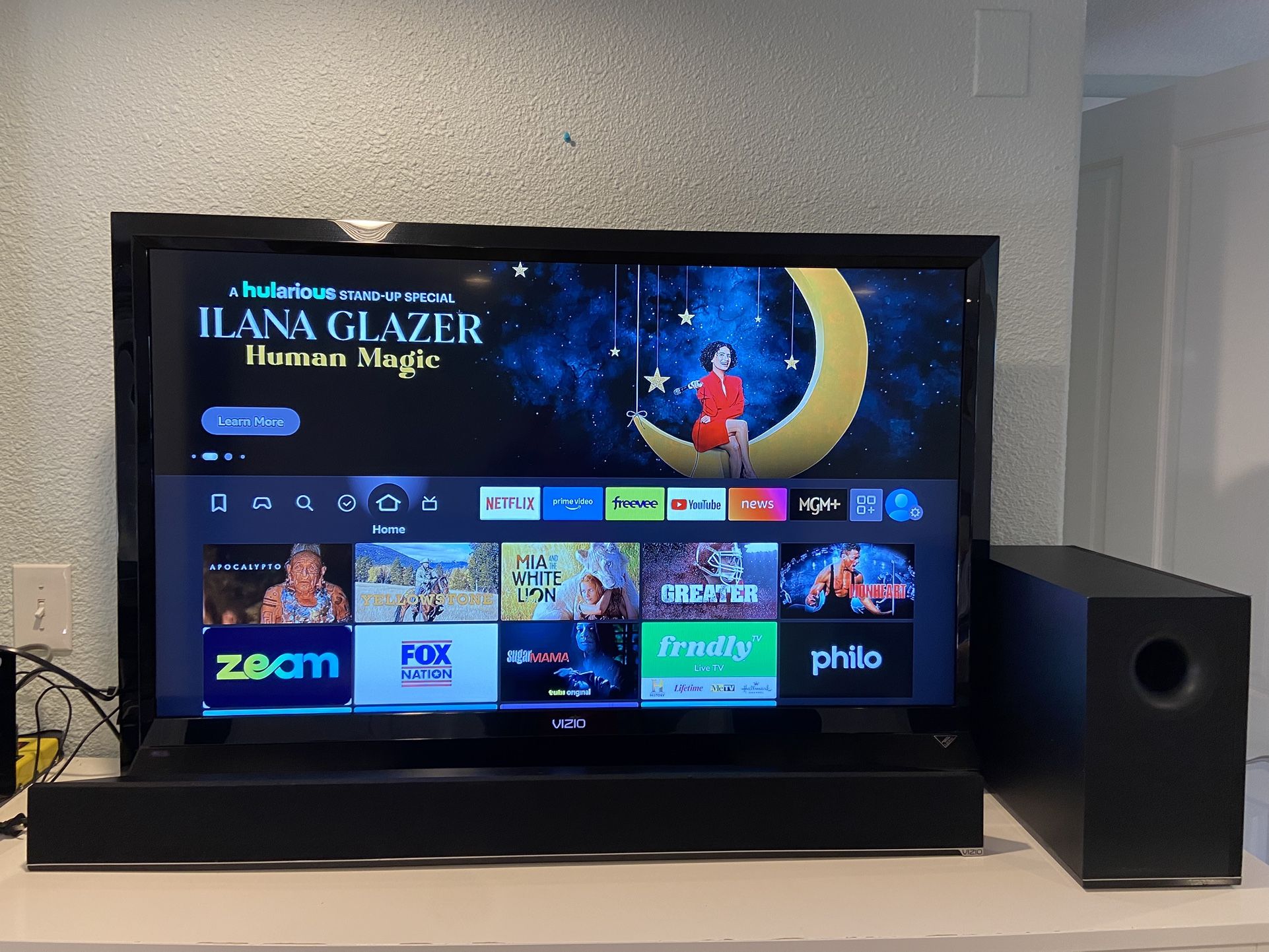 Vizio TV & Speaker