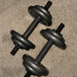 Golds Gym Adjustable Cast Dumbbell Set 40lbs