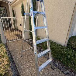 Werner Heavy Duty 6 Foot Ladder