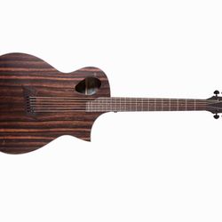 Acoustic/electric Guitar 