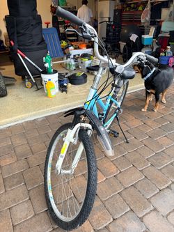 Mountain Bike