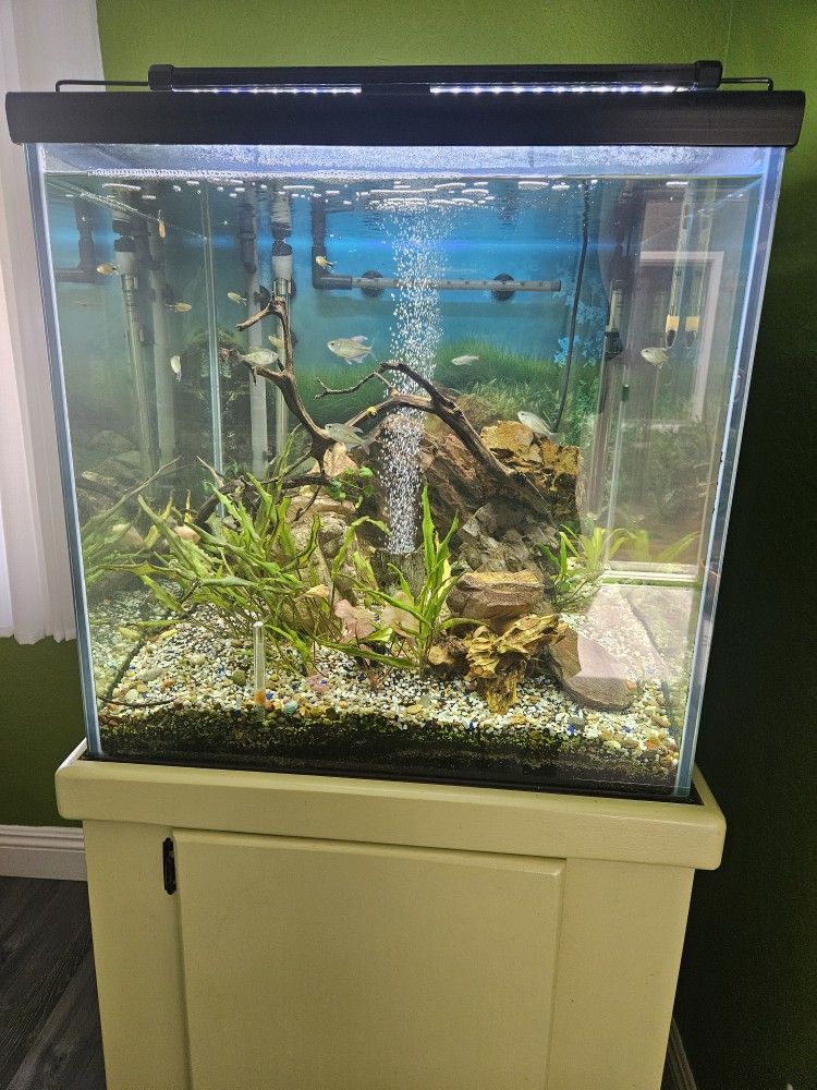 59 Gallon Aquarium