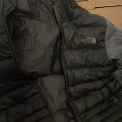 The north face jacket 