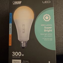 New 300 Watt Equivalent Adjustable LED Light Bulb