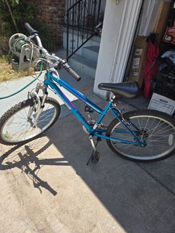 Mountain bike by Road Master