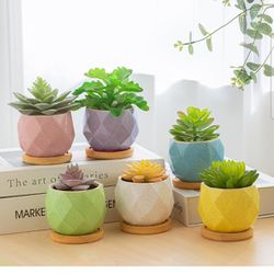 Ceramic Succulent Plant Pots Set of 6 With Stones And Soil