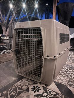 Large dog Crate