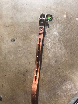 20” dog collar