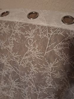 Sheer White Curtains 55" X 72"