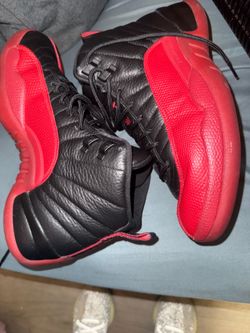 Retro jordan 12 flu game
