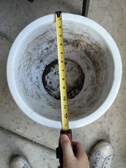 large white ceramic plant pot