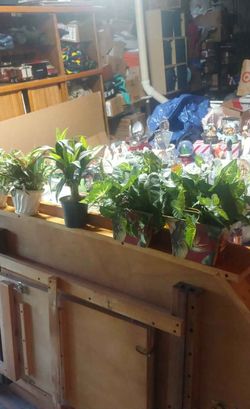 Planters