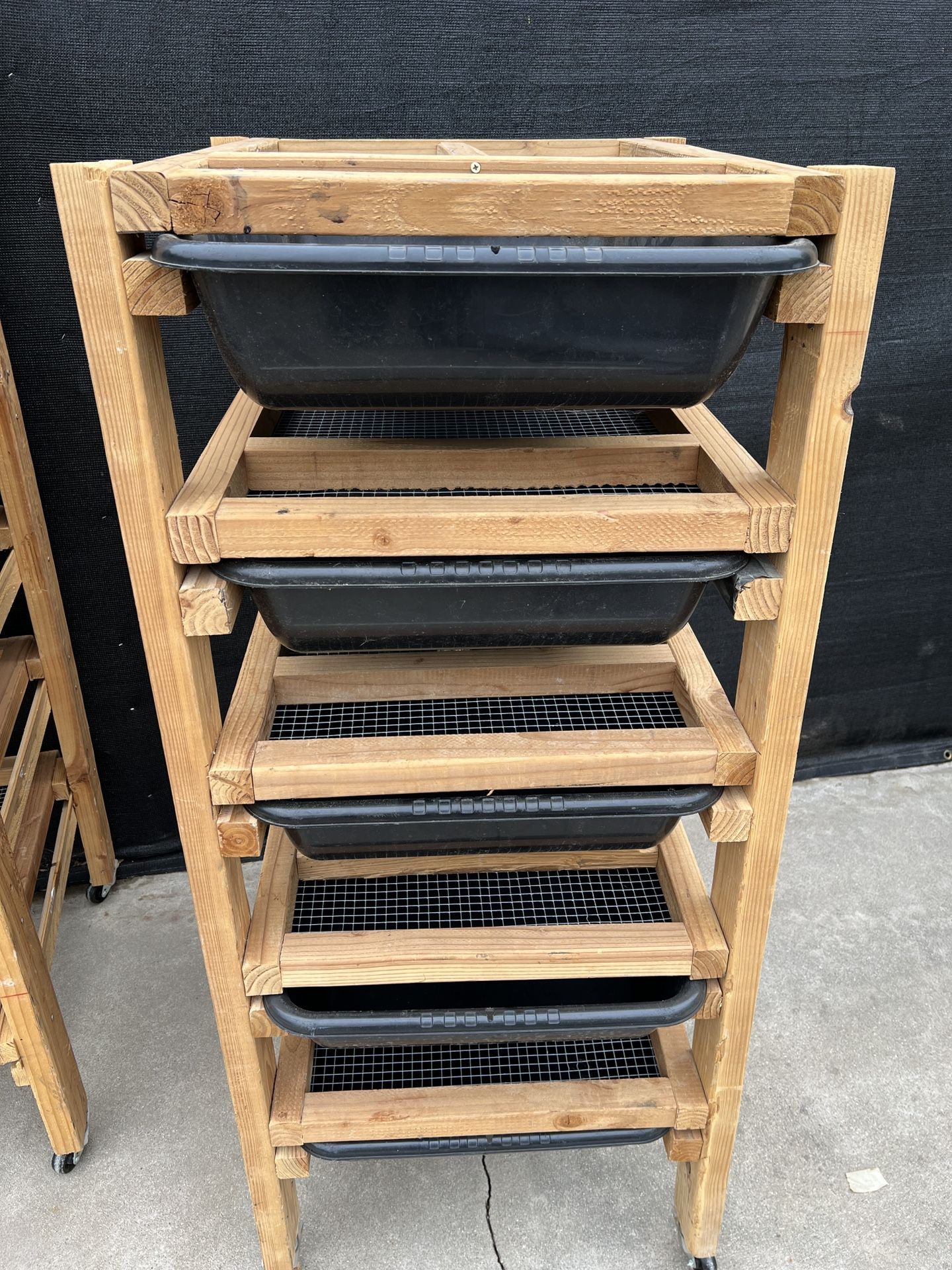 Rat Rack