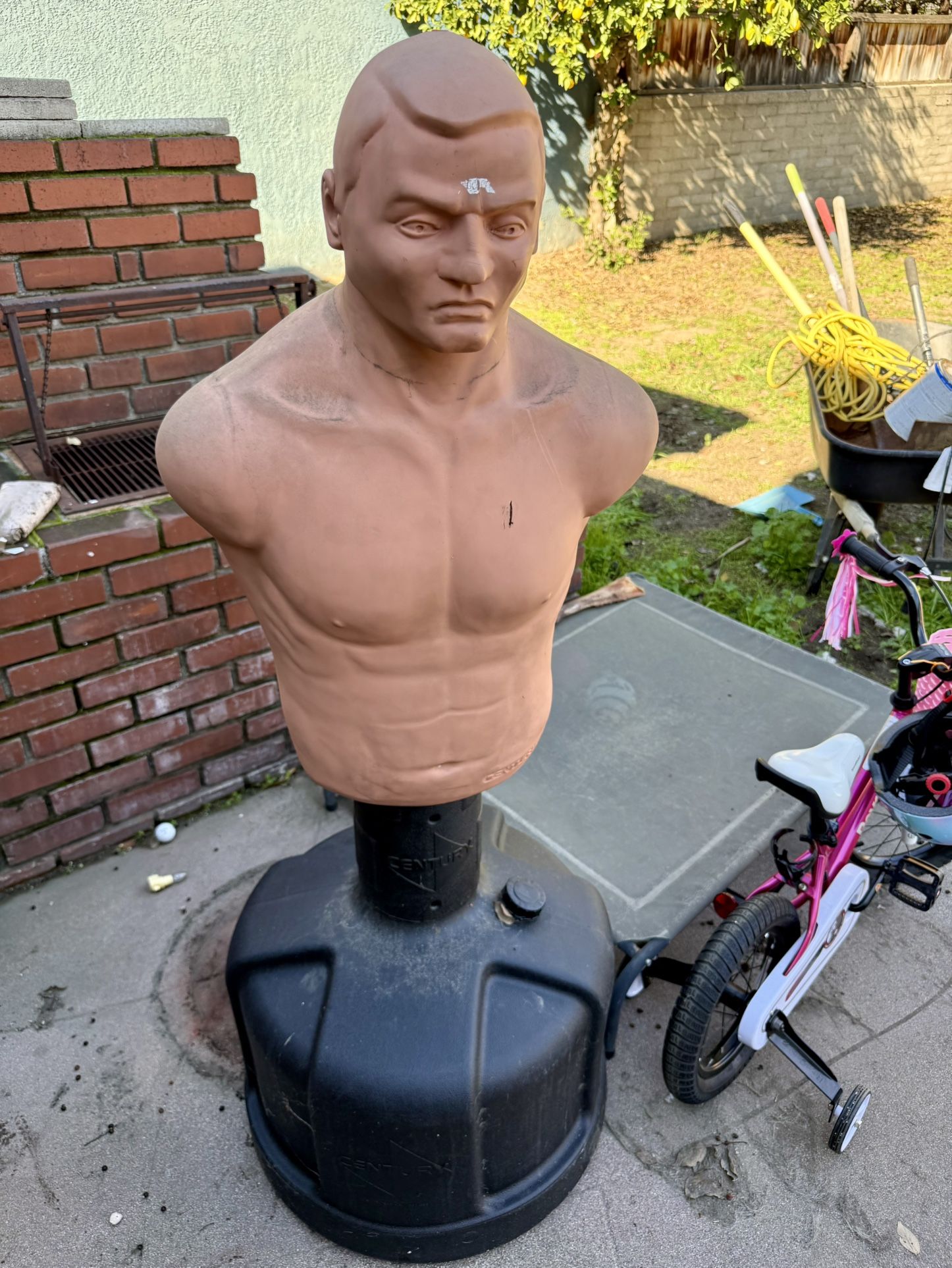 Century BOB Punching Torso