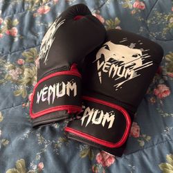 Venum Boxing Gloves 
