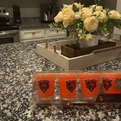 Chicago Bears Shit Glass