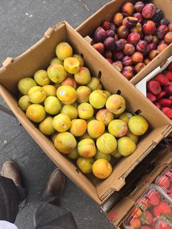 Plums