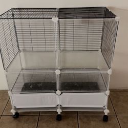 Bird Cage 