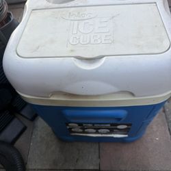 Igloo Cooler
