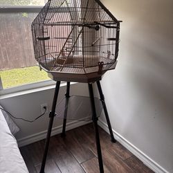 Bird Cage