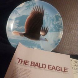 The Bald Eagle 🦅 Collectors Plate