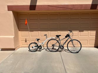 Specialized Bike and Tag-a-Long Trailer