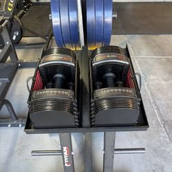 POWERBLOCKS 50lbs With Titan Fotness stand