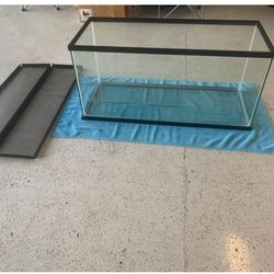 40 Gallon Tank With Accessories  NEED GONE