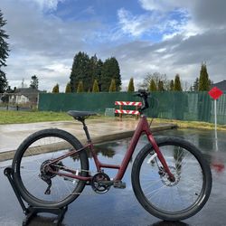 Specialized Roll 3.0 Low-Entry Comfort Hybrid Bike (Step-Thru) Aluminium Bicycle Disc Small Frame