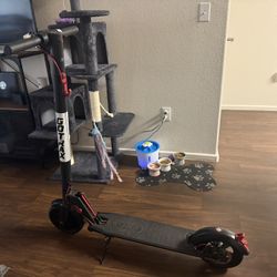 Gotrax Scooter