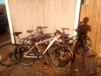 It is a outroad mongoose and rockrider(brand)