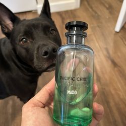 Louis vuitton Pacific Chill