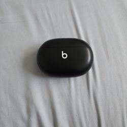 Beats Studio Pro Ear Buds.