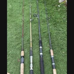 Fishing pole 