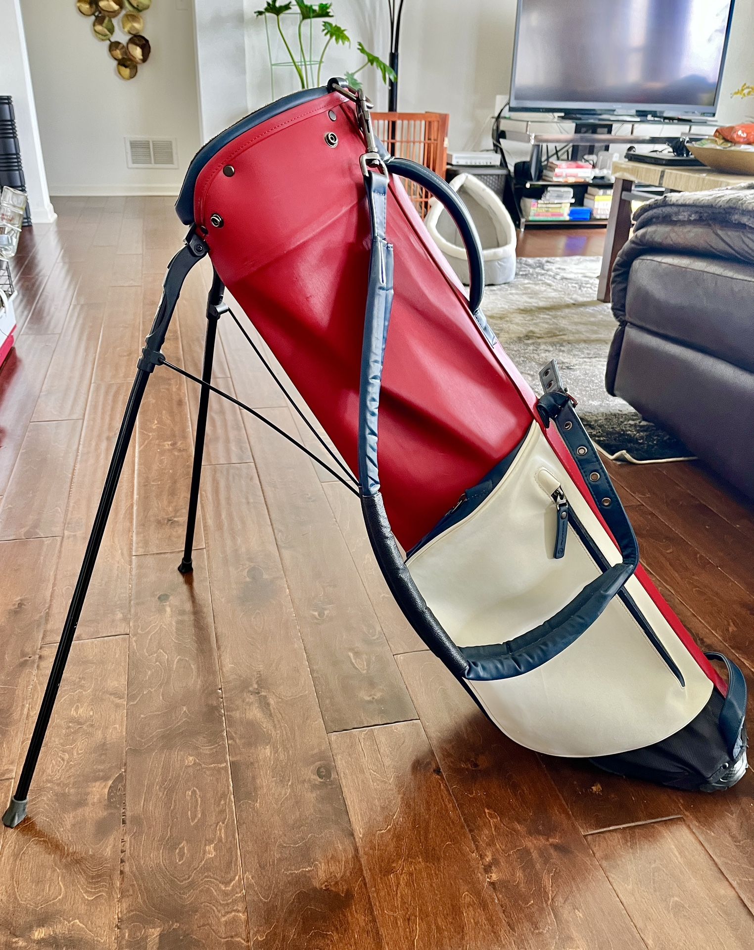 Stitch Golf Bag $100 Golf