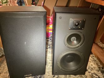 10 inch Polk speaker
