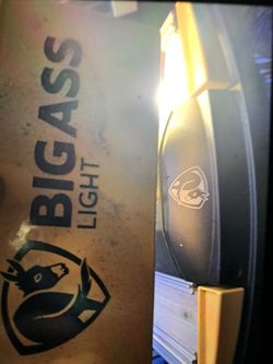 Light