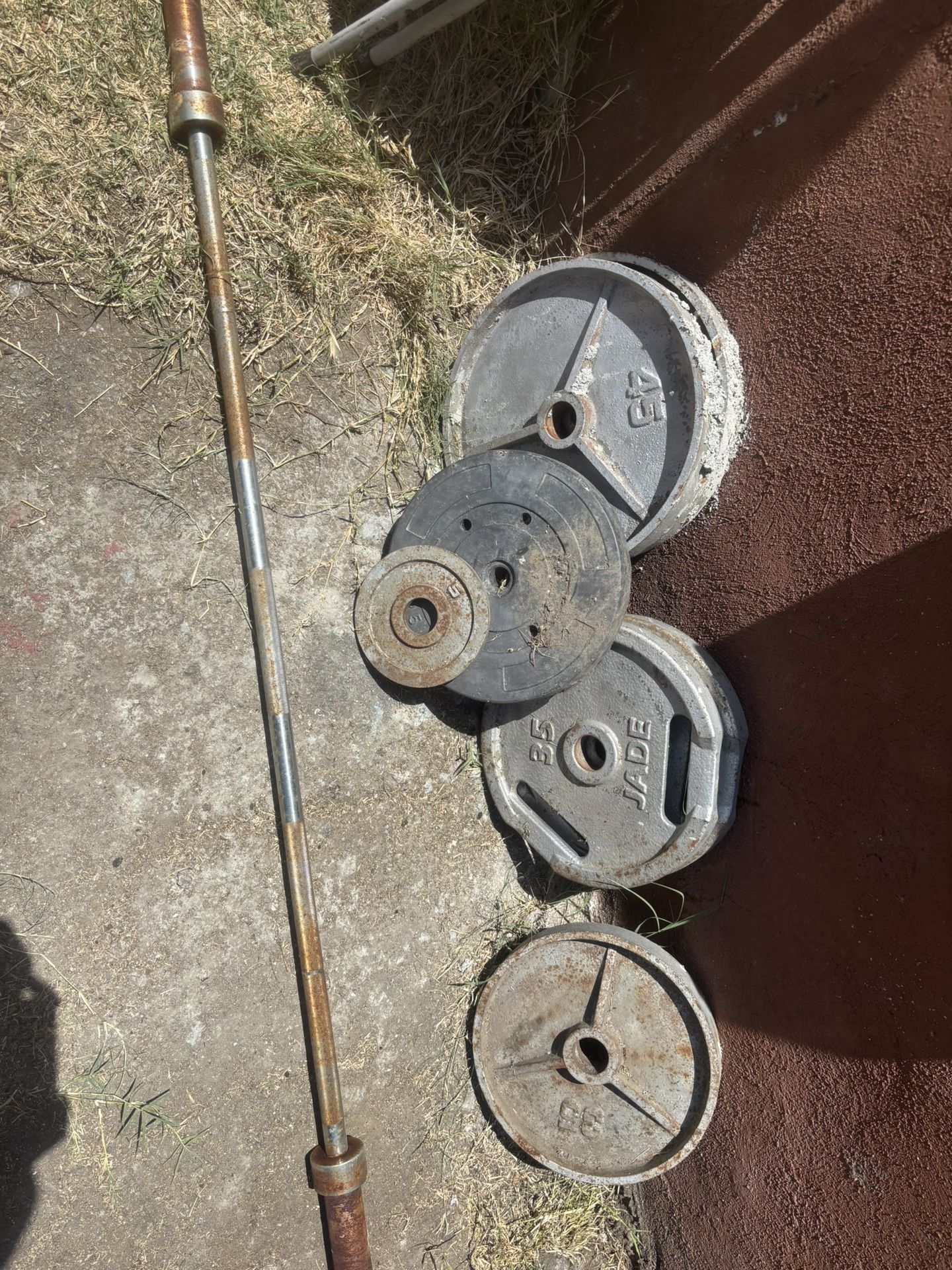 Olympic Bar And Weights
