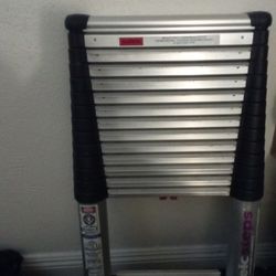Telosteps Ladder 