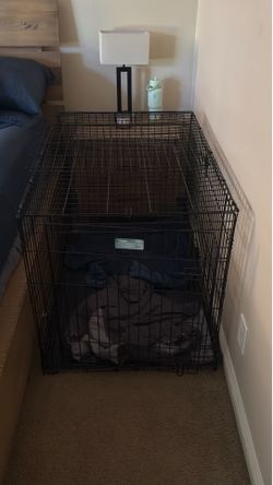 XL dog kennel.