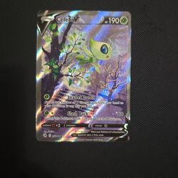Celibi V Alt Art