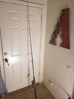 Zebco fishing rod. never used.