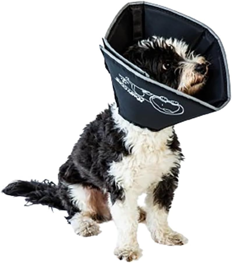 Pet Cone - New 