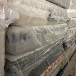 King and queen birds 350 and up. Must go this week