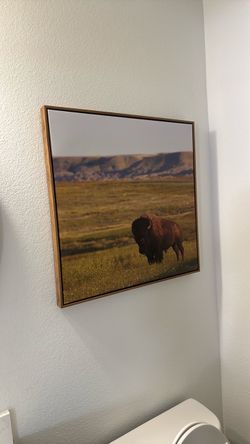 Wall decor picture